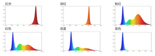 AG平台游戏·(中国)官方网站