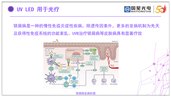 AG平台游戏·(中国)官方网站