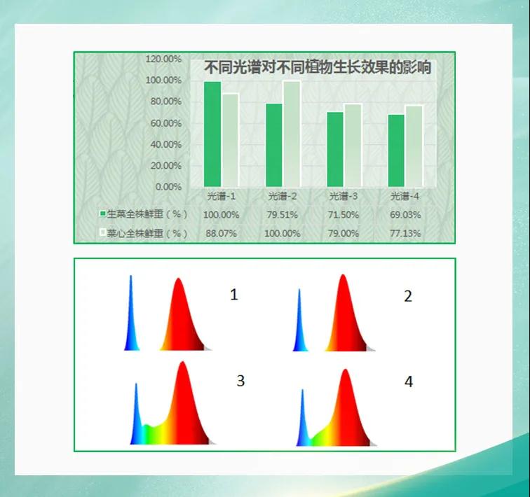 AG平台游戏·(中国)官方网站